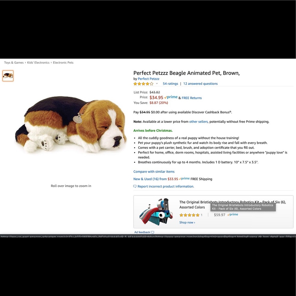 Perfect petzzz beagle puppy